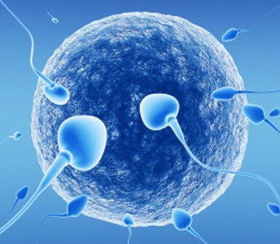 «Mio papà era un donatore: chi è?»