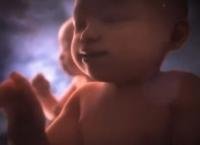 La cultura della morte s’indigna per un feto che canta