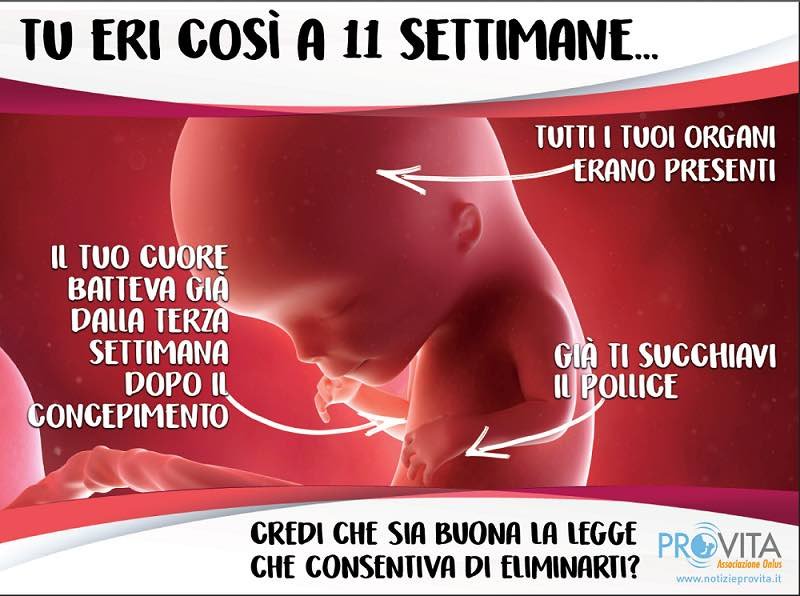Camion vela contro l’aborto