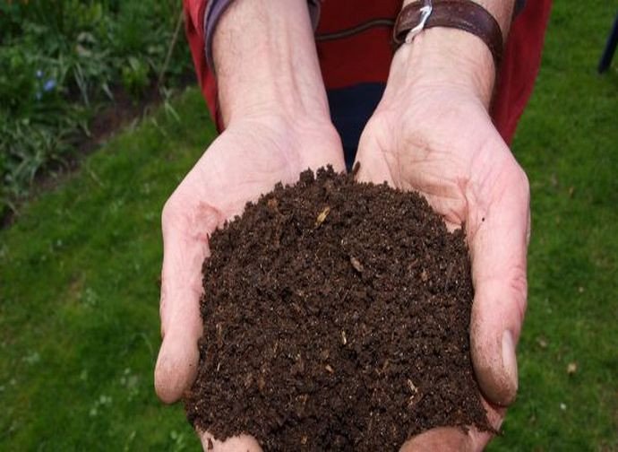 Ecco il «compost umano», l’ultima deriva nichilista